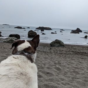 Meet your Posher, Caroline